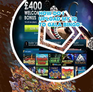 Best slots to play on gala bingo