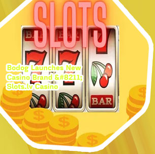Slots plus casino no deposit bonus codes