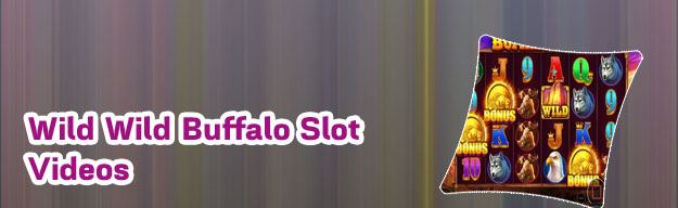 Wild buffalo slot machine